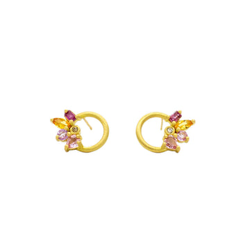 Lasso Cluster Studs